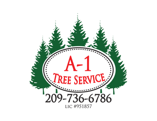 a-1 tree service near me